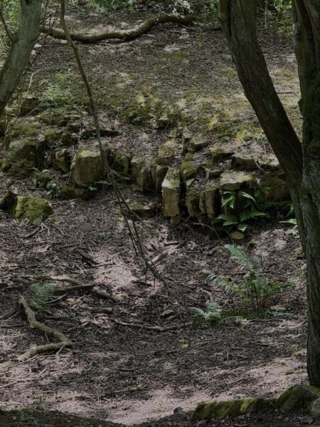 Limestone Outcrop in the quarry