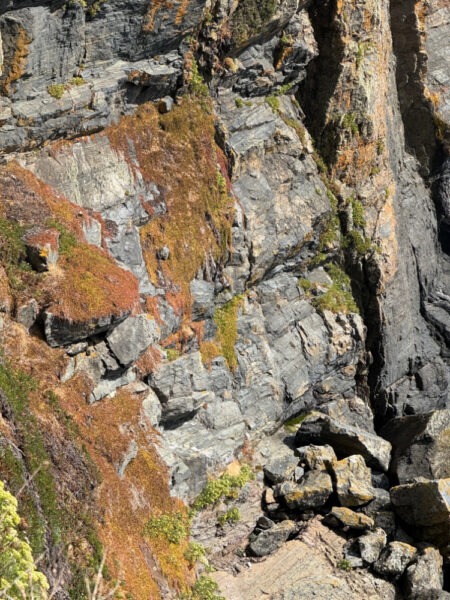 Cliffs at Lizard Point